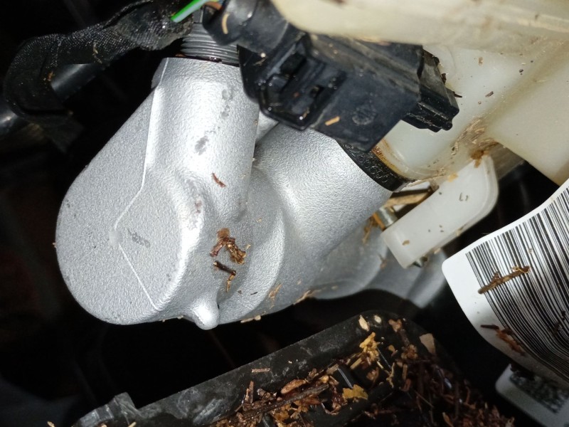 Recambio de bomba freno para audi a1 sportback (gba) 30 tfsi referencia OEM IAM   