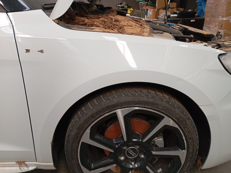 Recambio de aleta delantera derecha para audi a1 sportback (gba) 30 tfsi referencia OEM IAM   