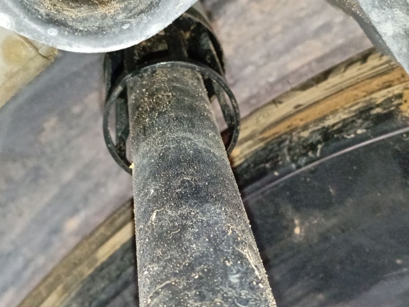 Recambio de amortiguador trasero derecho para audi a1 sportback (gba) 30 tfsi referencia OEM IAM   