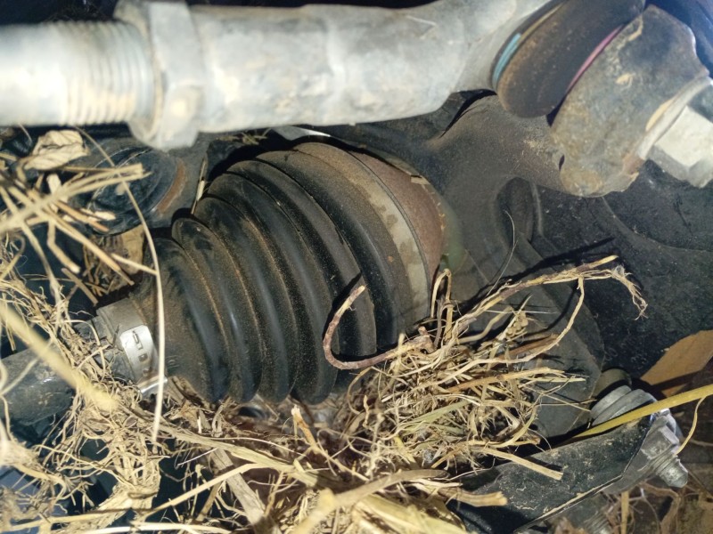 Recambio de mangueta delantera derecha para audi a1 sportback (gba) 30 tfsi referencia OEM IAM   