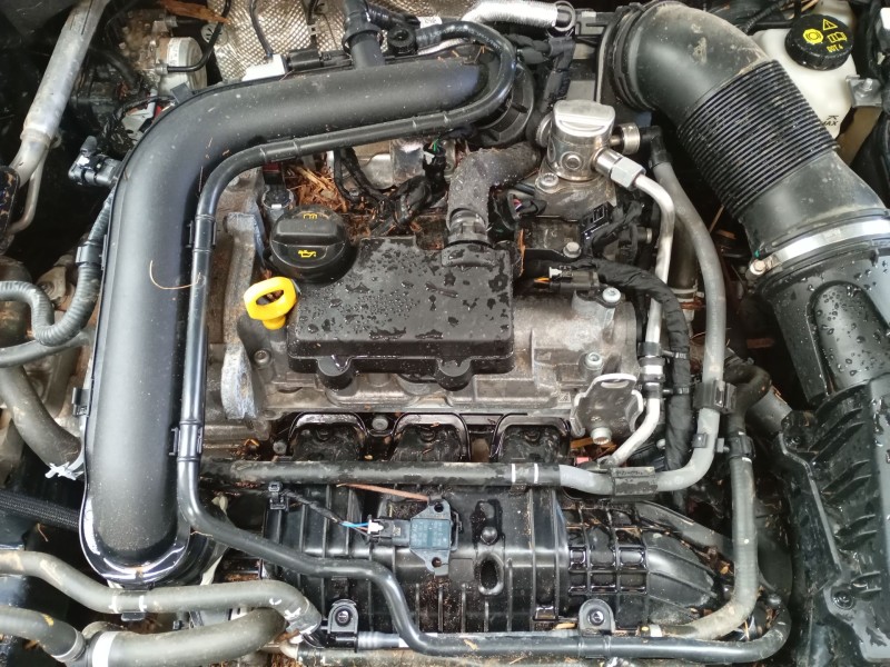 volkswagen golf viii (cd1, da1) del año 2024