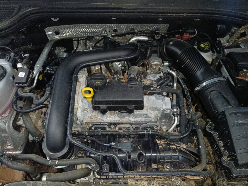 volkswagen golf viii (cd1, da1) del año 2023