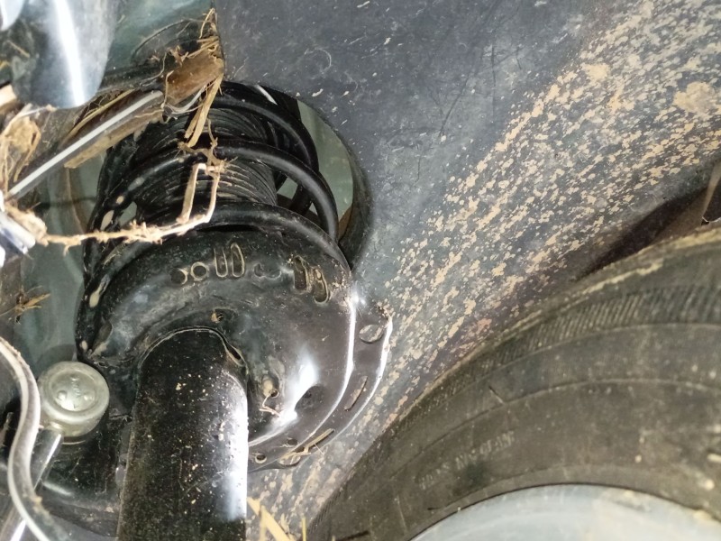 Recambio de amortiguador delantero derecho para volkswagen golf viii (cd1, da1) 1.0 etsi referencia OEM IAM   