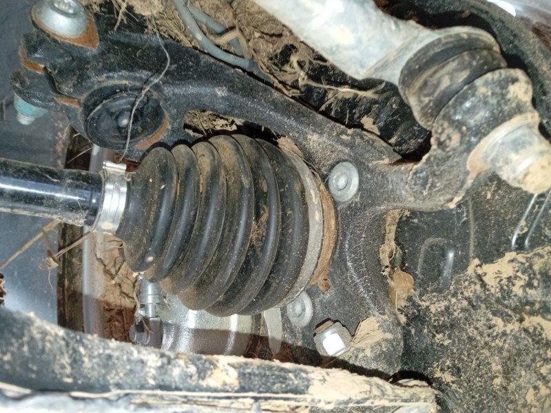 Recambio de mangueta delantera derecha para volkswagen golf viii (cd1, da1) 1.0 etsi referencia OEM IAM   