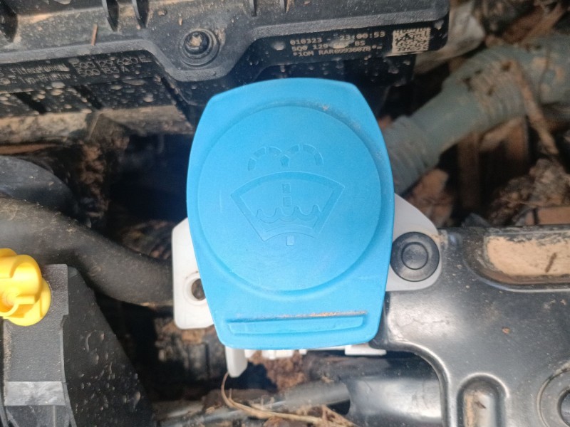 Recambio de deposito limpia para volkswagen golf viii (cd1, da1) 1.0 tsi referencia OEM IAM   