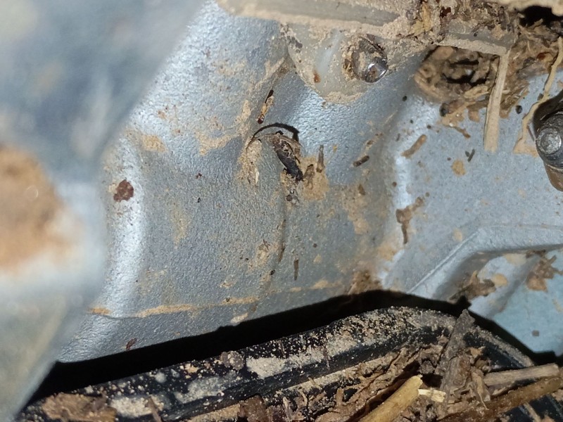 Recambio de bomba freno para audi a3 sportback (8ya, 8yf) 35 tdi referencia OEM IAM   