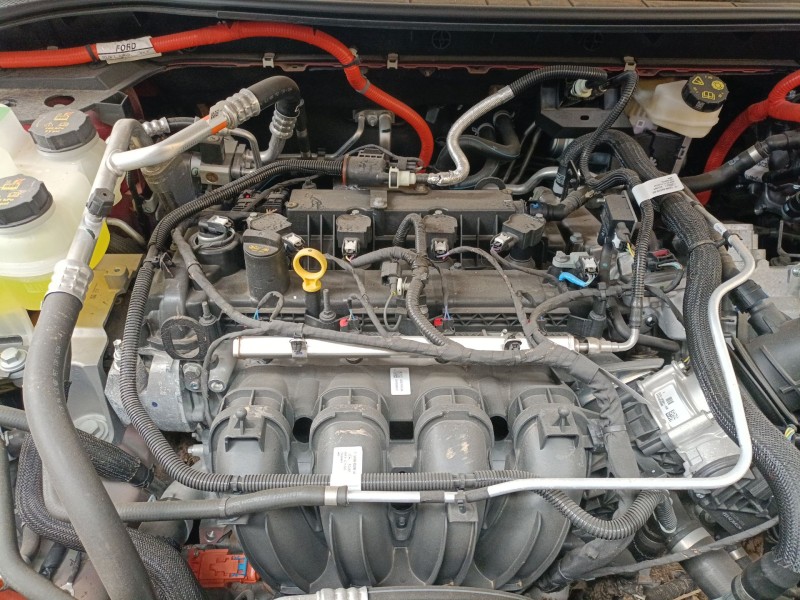 ford kuga iii (dfk) del año 2019