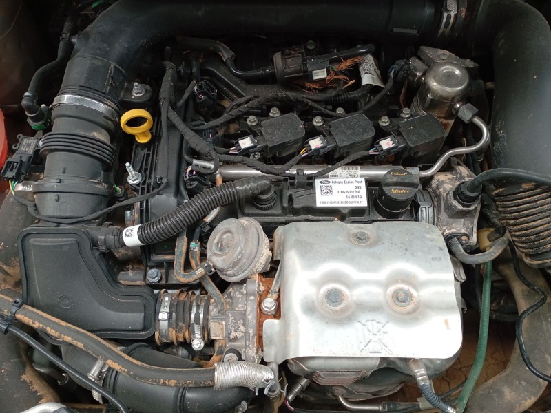 ford fiesta vii (hj, hf) del año 2019