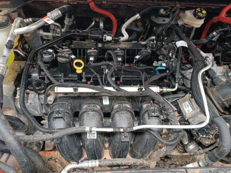 ford kuga iii (dfk) del año 2019