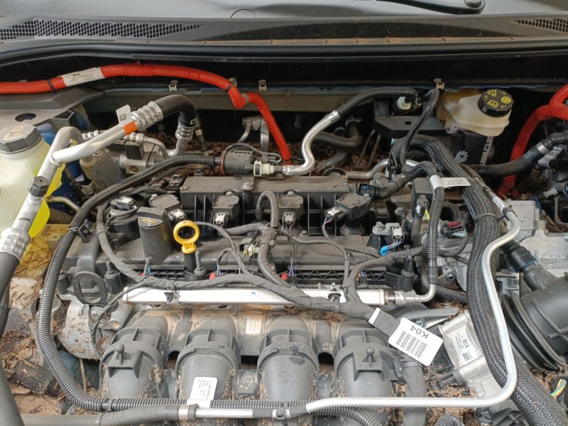 ford kuga iii (dfk) del año 2019