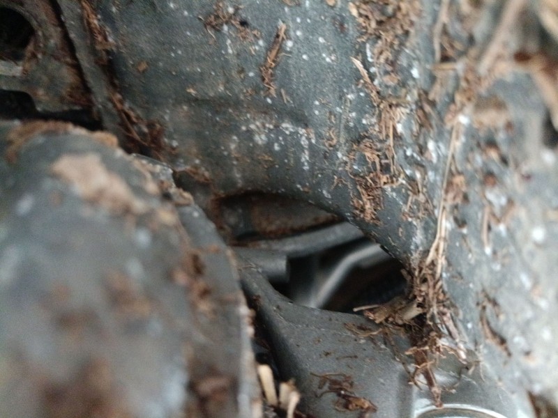 Recambio de compresor aire acondicionado para ford kuga iii (dfk) 2.5 duratec plug-in-hybrid referencia OEM IAM   