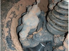 PINZA FRENO DELANTERA DERECHA 