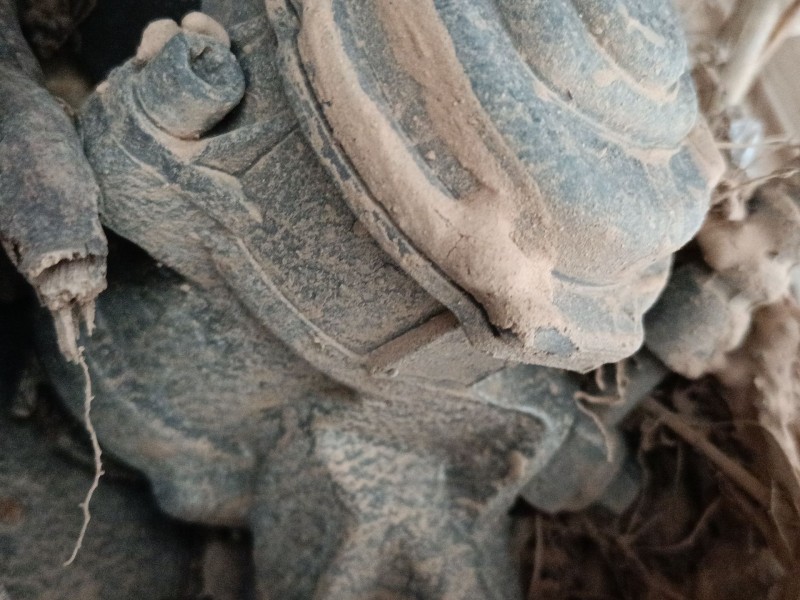 Recambio de pinza freno trasera izquierda para land rover range rover evoque (l538) 2.2 d 4x4 referencia OEM IAM   