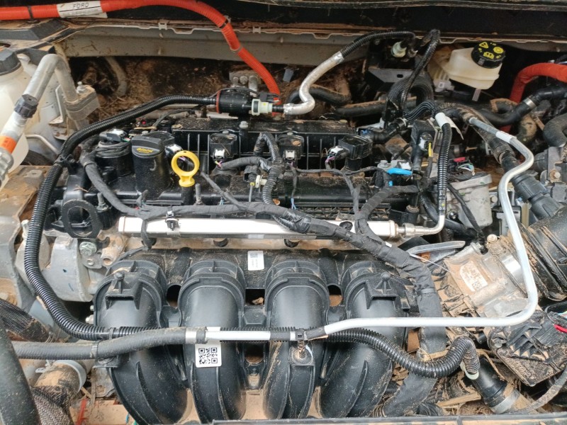 ford kuga iii (dfk) del año 2019