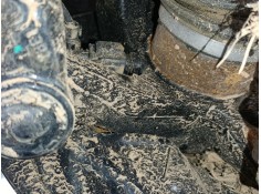 MANGUETA DELANTERA IZQUIERDA 