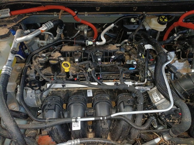 ford kuga iii (dfk) del año 2019