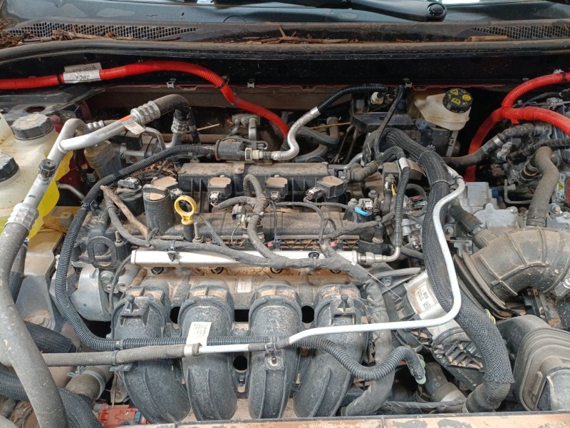 ford kuga iii (dfk) del año 2019