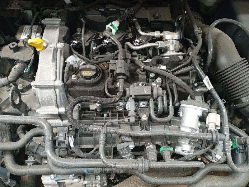 ford puma (j2k, cf7) del año 2019