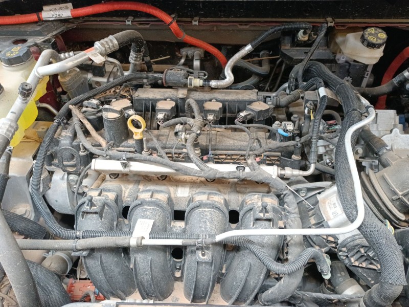 Recambio de motor completo para ford kuga iii (dfk) 2.5 duratec plug-in-hybrid referencia OEM IAM   