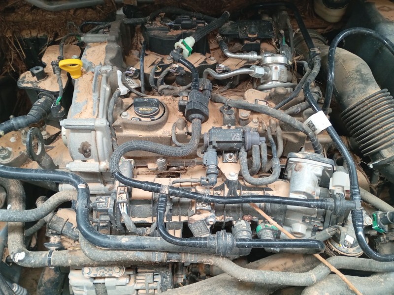 ford puma (j2k, cf7) del año 2019