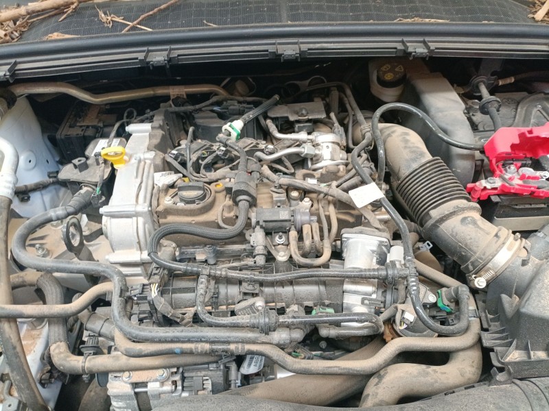 ford puma (j2k, cf7) del año 2019