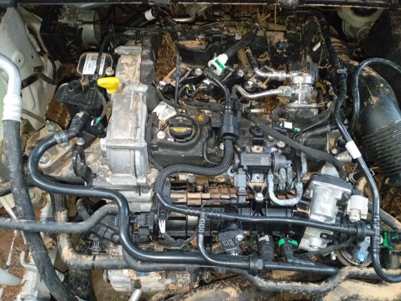 ford puma (j2k, cf7) del año 2019