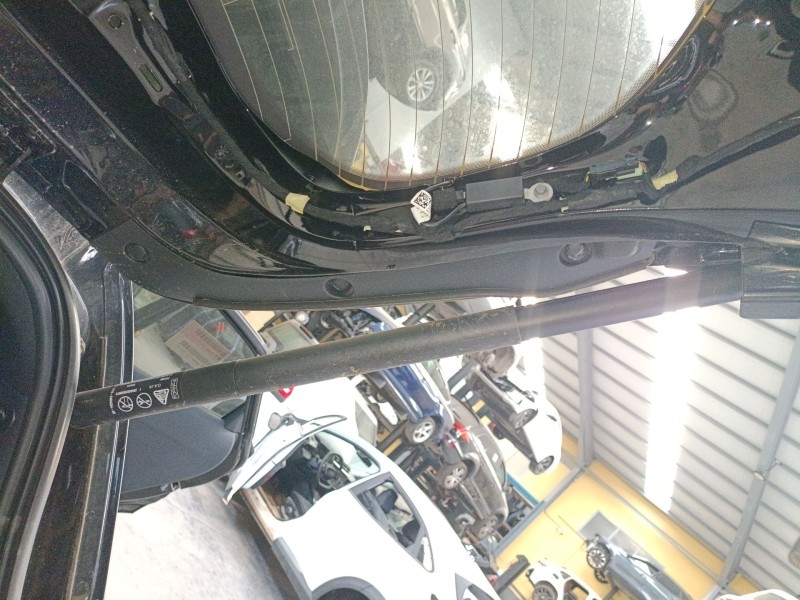 Recambio de amortiguador porton trasero derecho para ford puma (j2k, cf7) 1.0 ecoboost mhev referencia OEM IAM L1TBS404C84A  