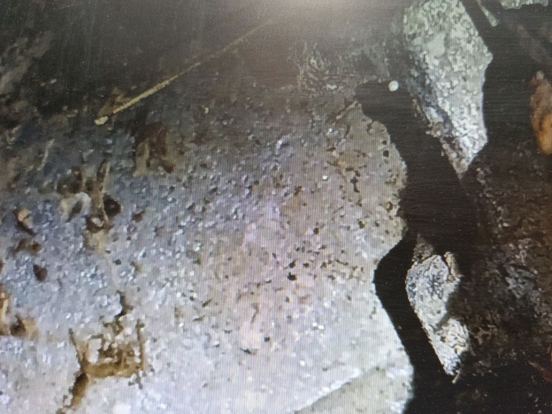 Recambio de motor arranque para ford puma (j2k, cf7) 1.0 ecoboost mhev referencia OEM IAM   