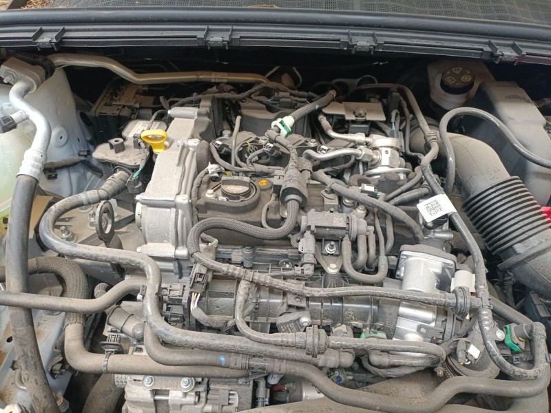 ford puma (j2k, cf7) del año 2019