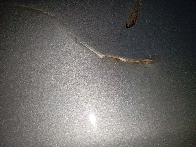 Recambio de paragolpes delantero para ford puma (j2k, cf7) 1.0 ecoboost mhev referencia OEM IAM   