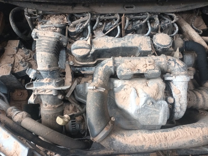 ford focus c-max (dm2) del año 2003