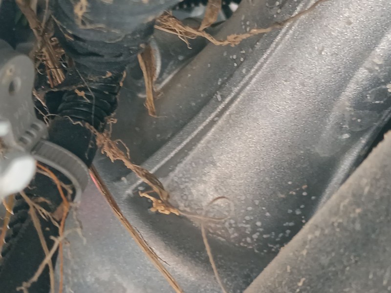 Recambio de cremallera direccion para ford transit custom v710 furgoneta (nrn) 2.0 ecoblue awd referencia OEM IAM   