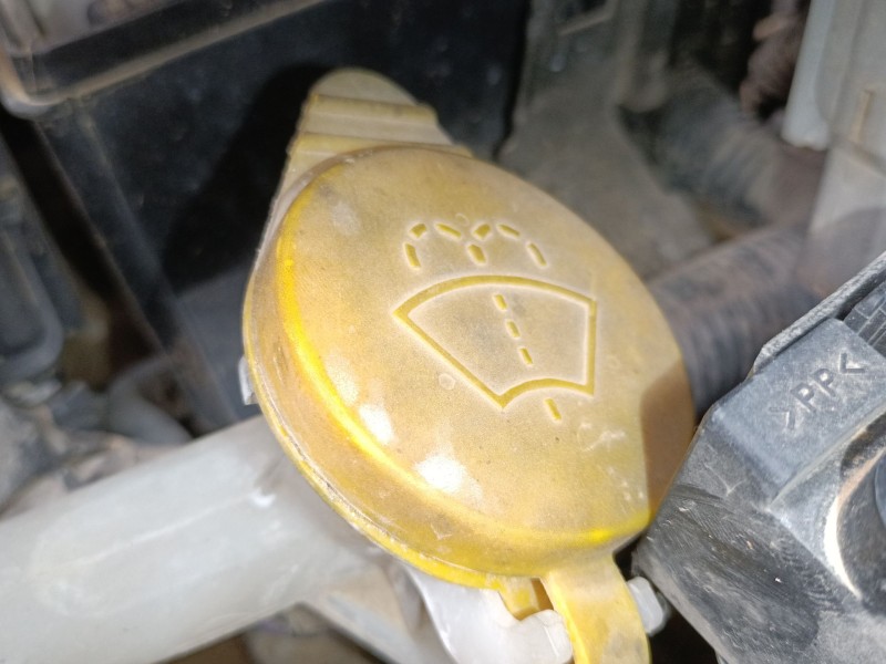 Recambio de deposito limpia para nissan pathfinder iii (r51) 2.5 dci 4wd referencia OEM IAM   