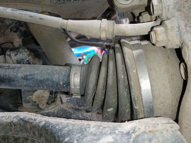 Recambio de transmision trasera derecha para nissan pathfinder iii (r51) 2.5 dci 4wd referencia OEM IAM   