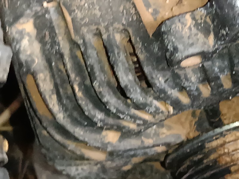 Recambio de alternador para audi q7 (4lb) 3.0 tdi quattro referencia OEM IAM   