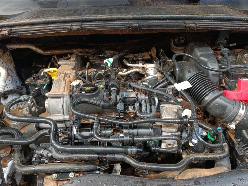 ford puma (j2k, cf7) del año 2019
