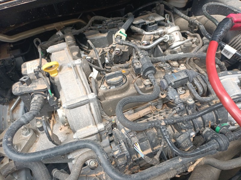 ford puma (j2k, cf7) del año 2019