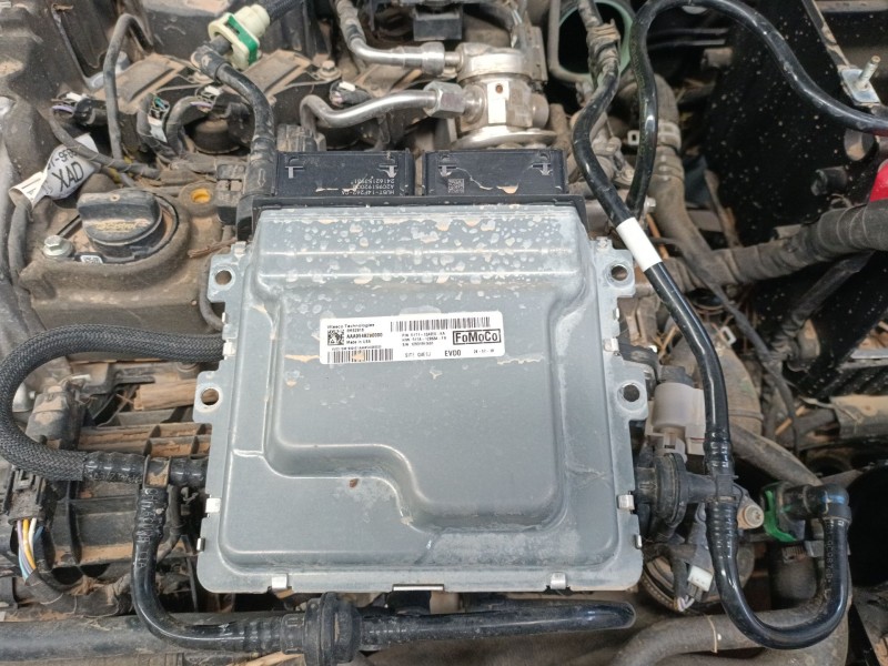 Recambio de centralita motor uce para ford puma (j2k, cf7) 1.0 ecoboost mhev referencia OEM IAM R1T112A650KA R1TA12B684FA 