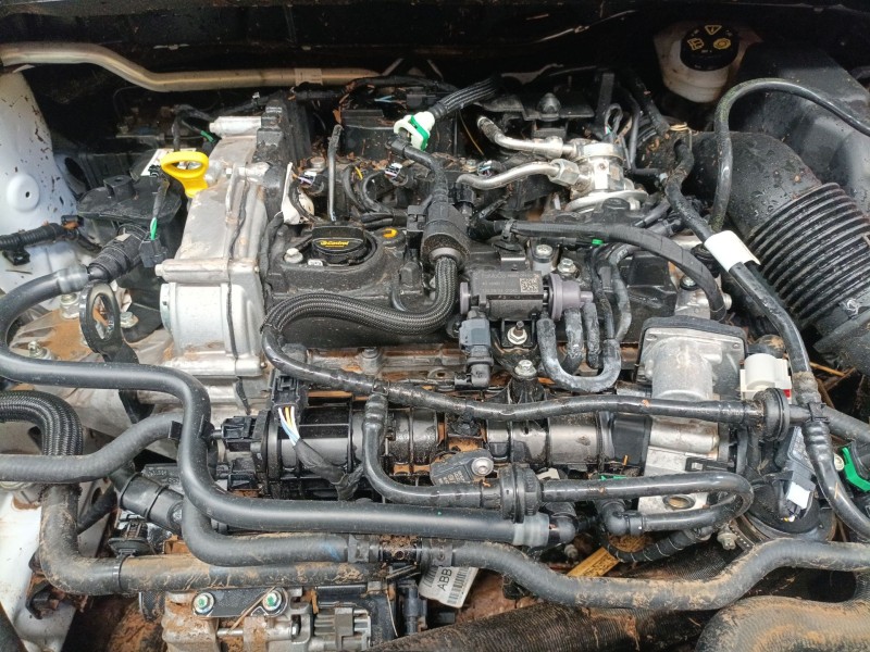 ford puma (j2k, cf7) del año 2019