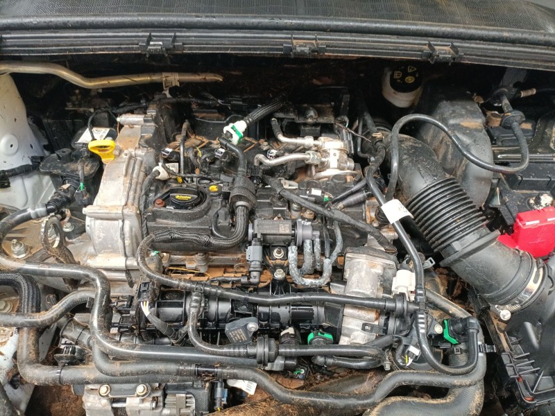 ford puma (j2k, cf7) del año 2019
