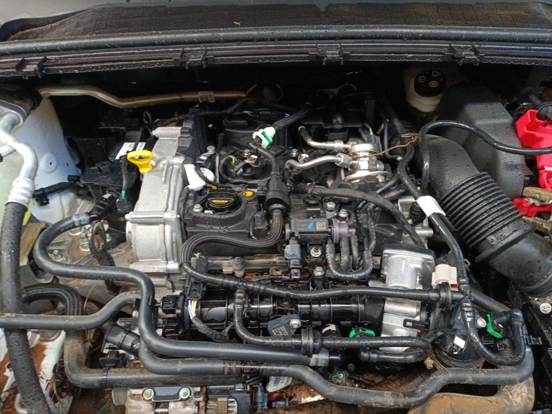 ford puma (j2k, cf7) del año 2019