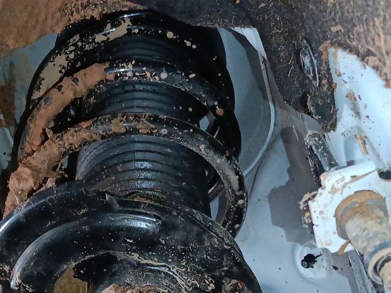 Recambio de amortiguador delantero derecho para ford puma (j2k, cf7) 1.0 ecoboost mhev referencia OEM IAM   