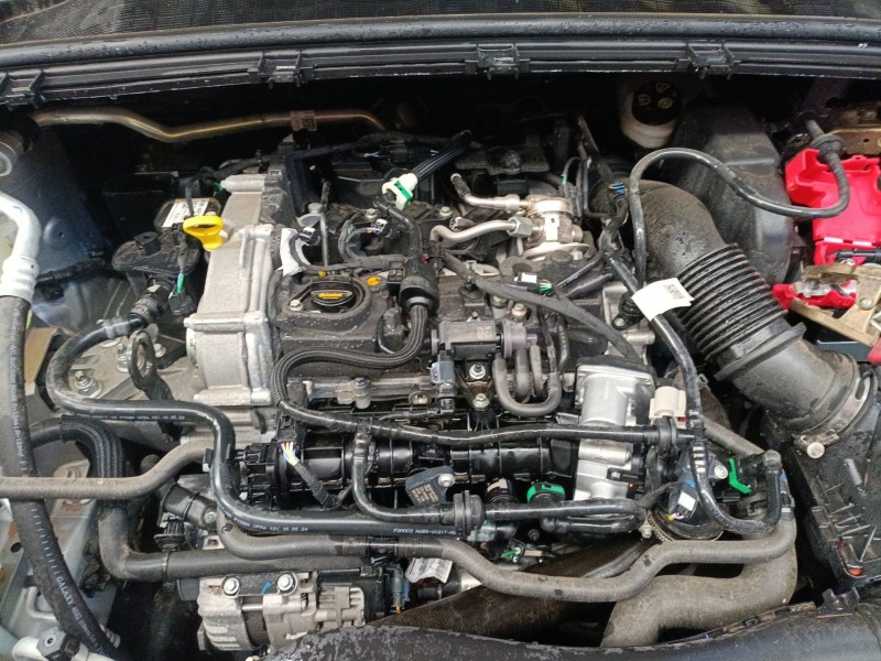 ford puma (j2k, cf7) del año 2019