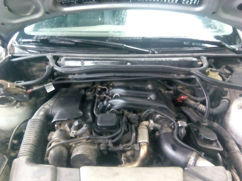 bmw serie 3 berlina (e46) del año 2002