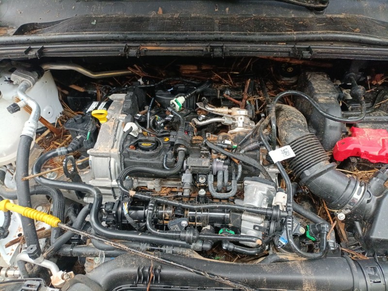 ford puma (j2k, cf7) del año 2019