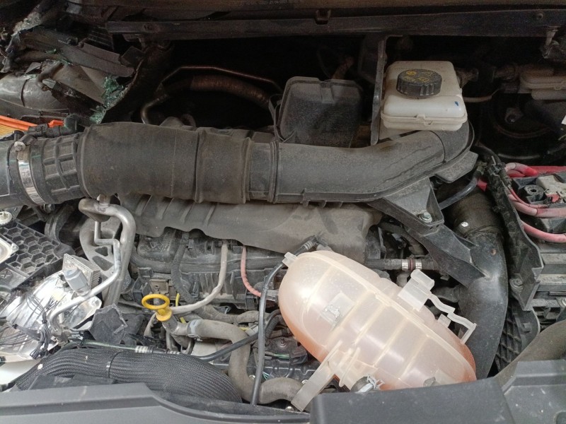 renault trafic iii autobús (jg_) del año 2021