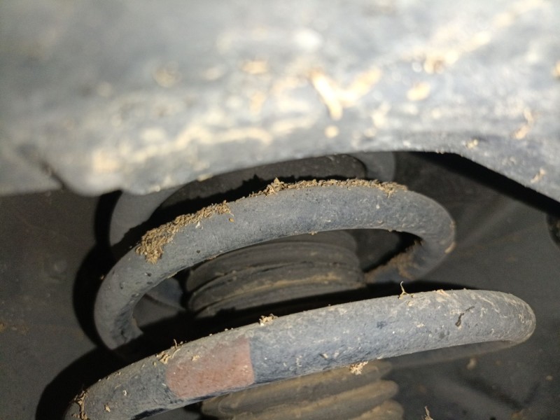 Recambio de amortiguador delantero derecho para toyota verso (_r2_) 2.0 d-4d (aur20_) referencia OEM IAM   