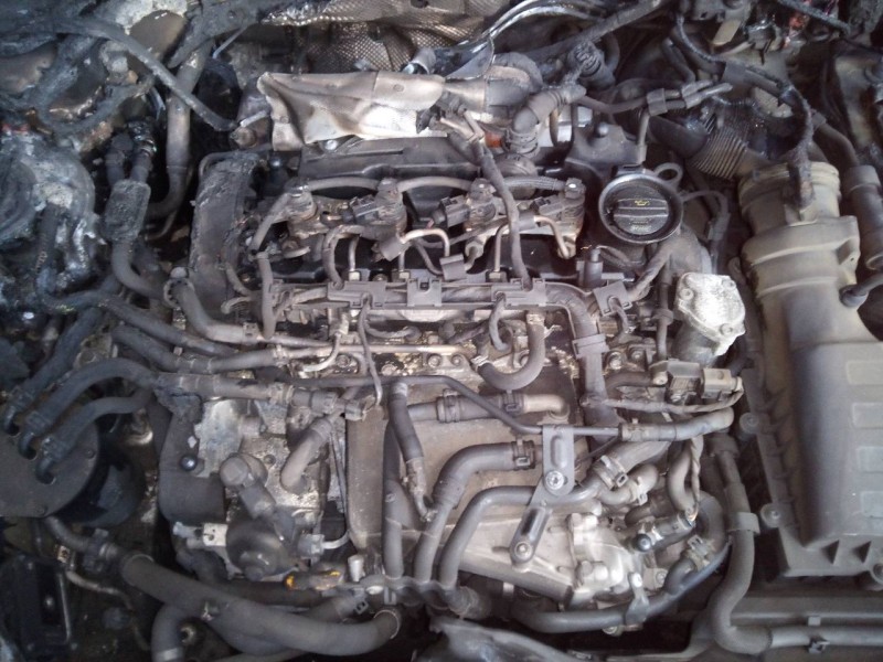 volkswagen passat lim. (3g2) del año 2014