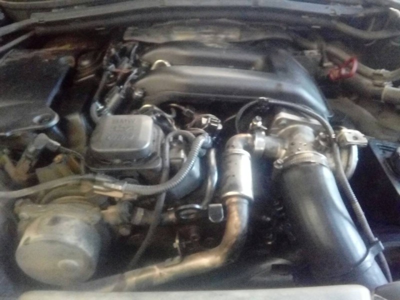 bmw serie 3 berlina (e46) del año 2003