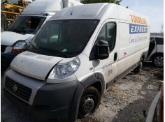 fiat ducato furgón ta 35 (290) del año 2014
